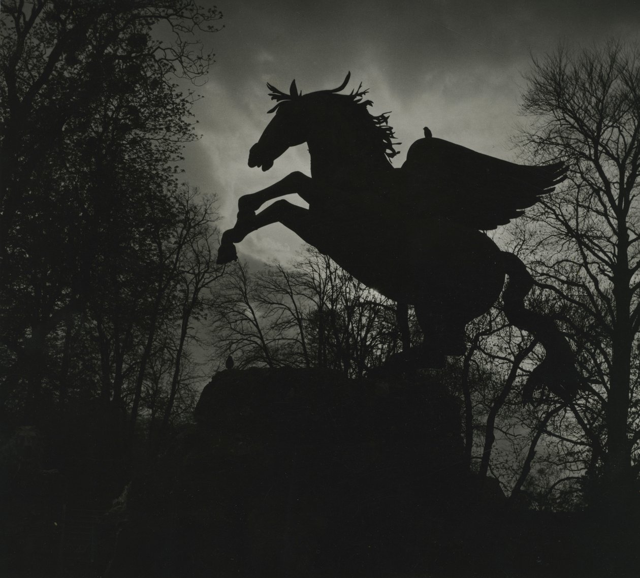 Pegasus-statue i Mirabell-haven af Godfrey Macdominic