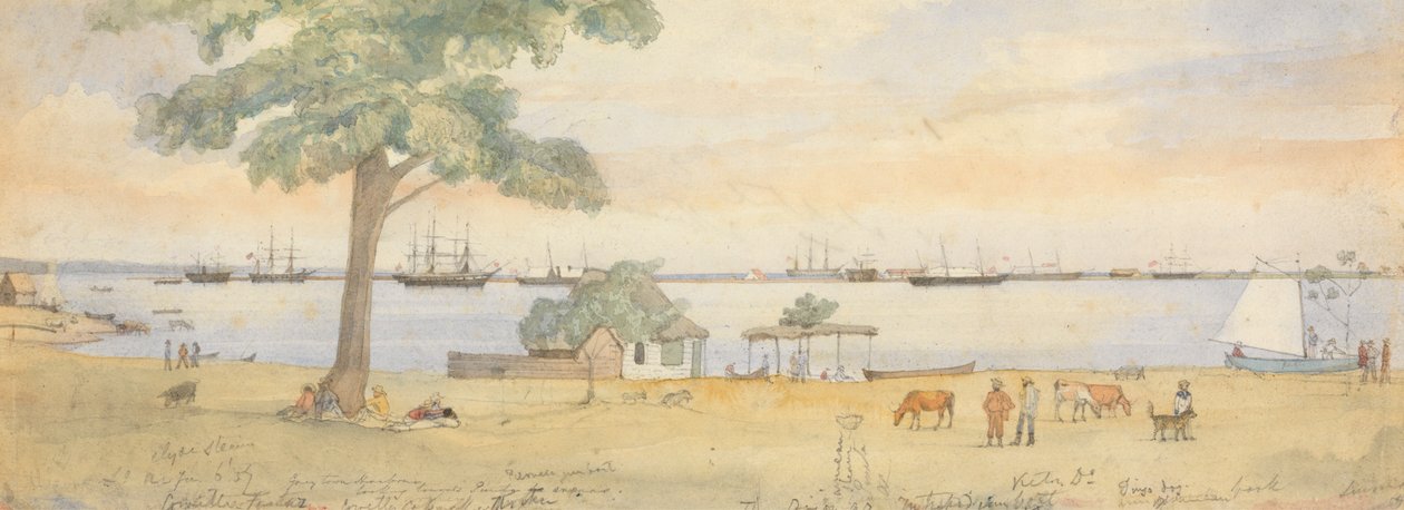 Greytown af Godfrey Thomas Vigne