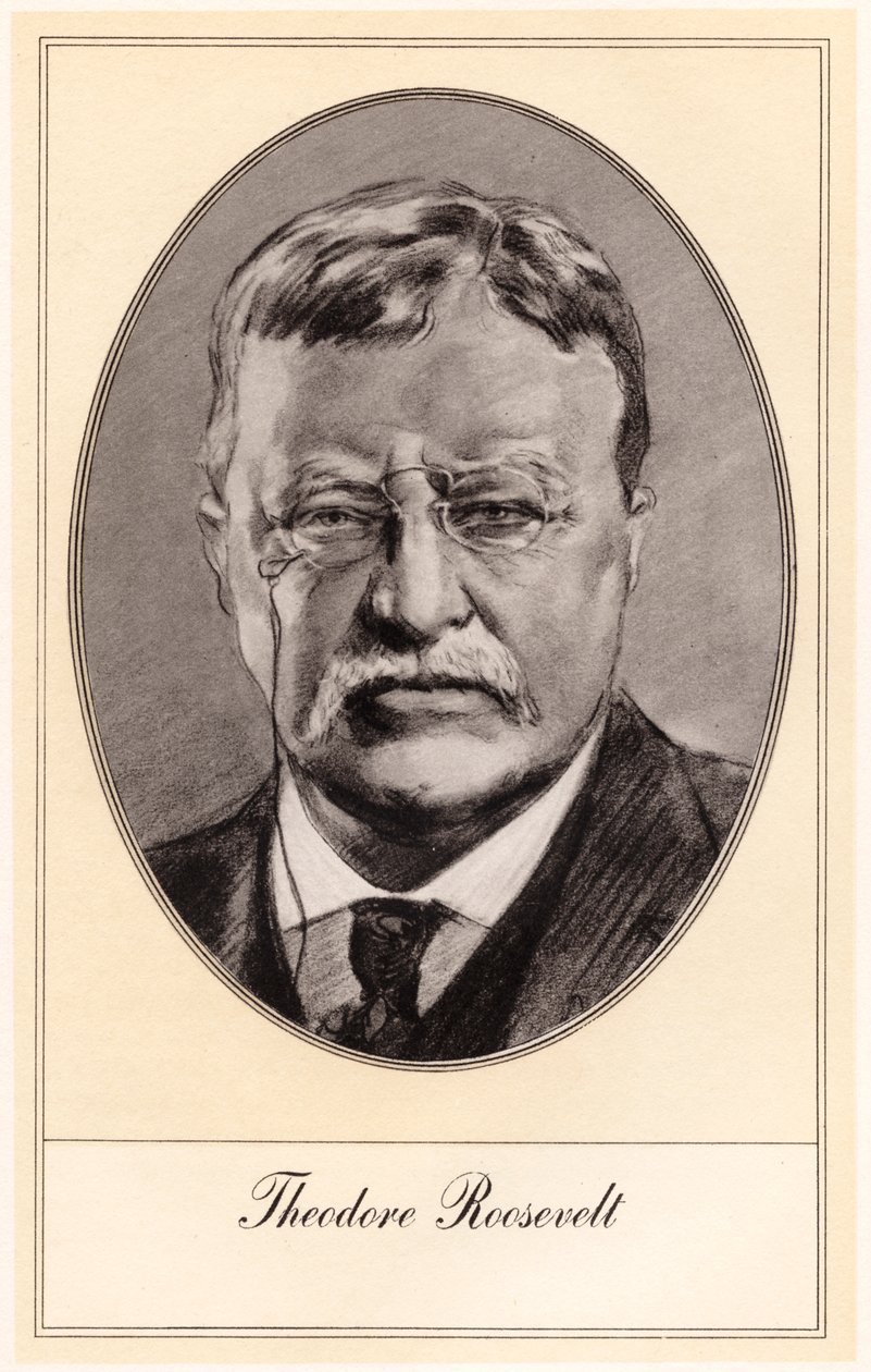 Theodore Roosevelt, USA