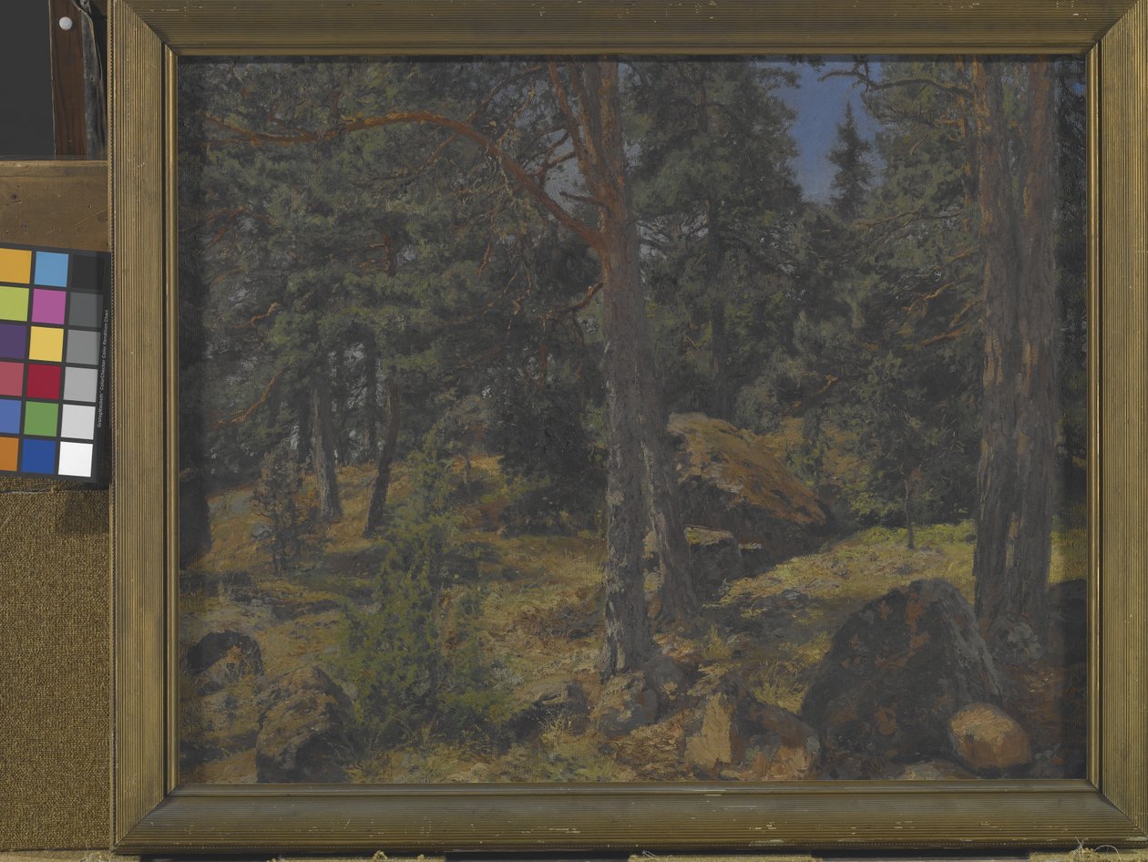 A Fir Bank (olie på lærred) af Gottfried Kallstenius