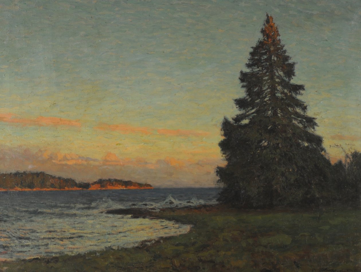 Grantræet af Gottfried Kallstenius