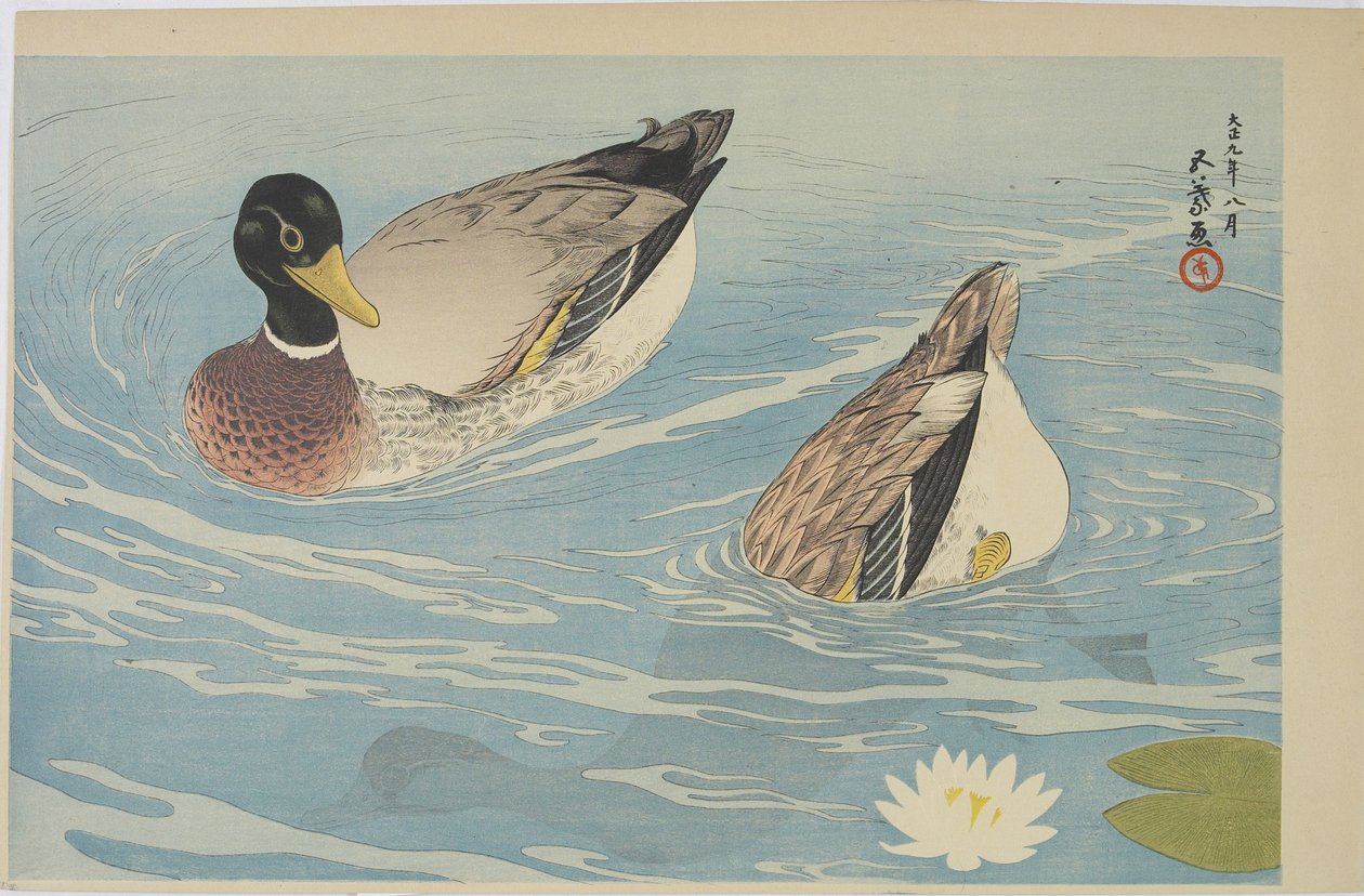 Ænder, august 1920 af Goyo Hashiguchi