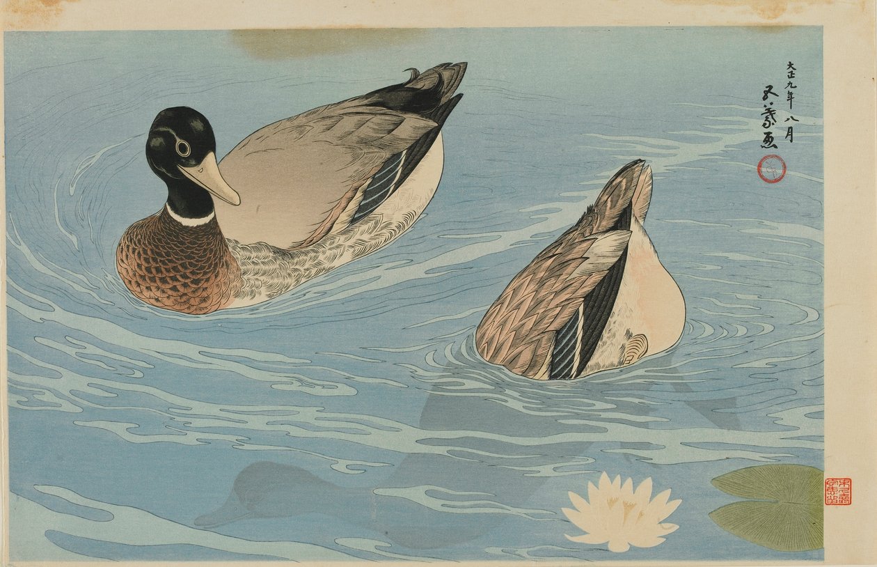 Ænder, Taisho-æra, august 1920 (træblok i farver) af Goyo Hashiguchi