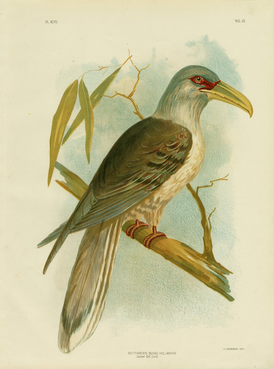 Kanalregning, 1891 af Gracius Broinowski