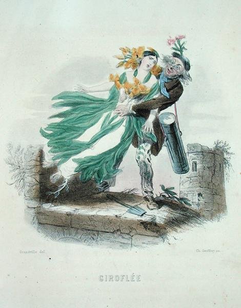 Urtelæge, der stjæler vægblomsten, fra 