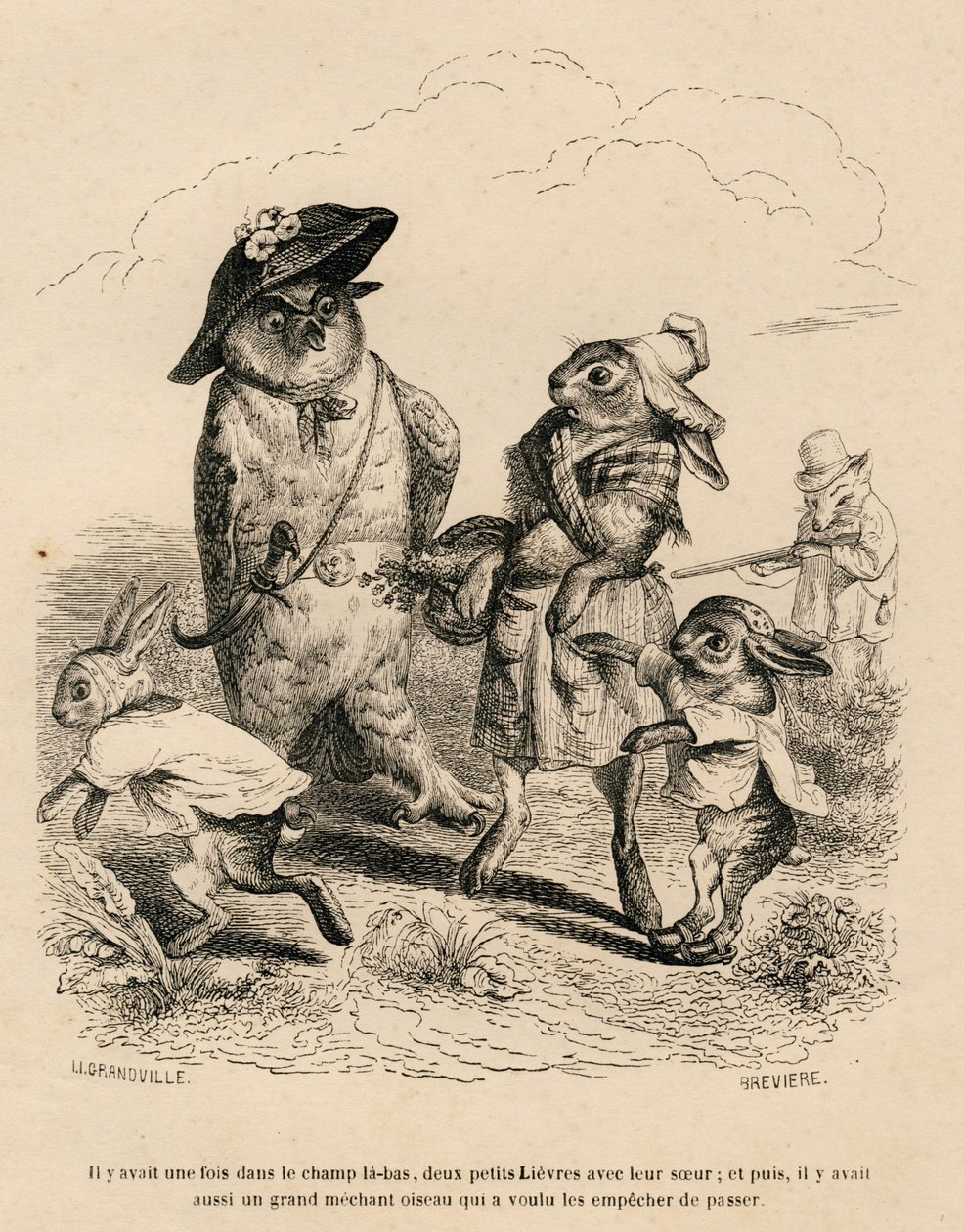 To små harer med deres storesøster stoppede ved en ugle på en mark. En jagtræv står bag dem. Miniaturer illustreret af JJ Granville. Gravering signeret Breviere i delen "Story of a Hare" skrevet af PJ Stahl i af Grandville