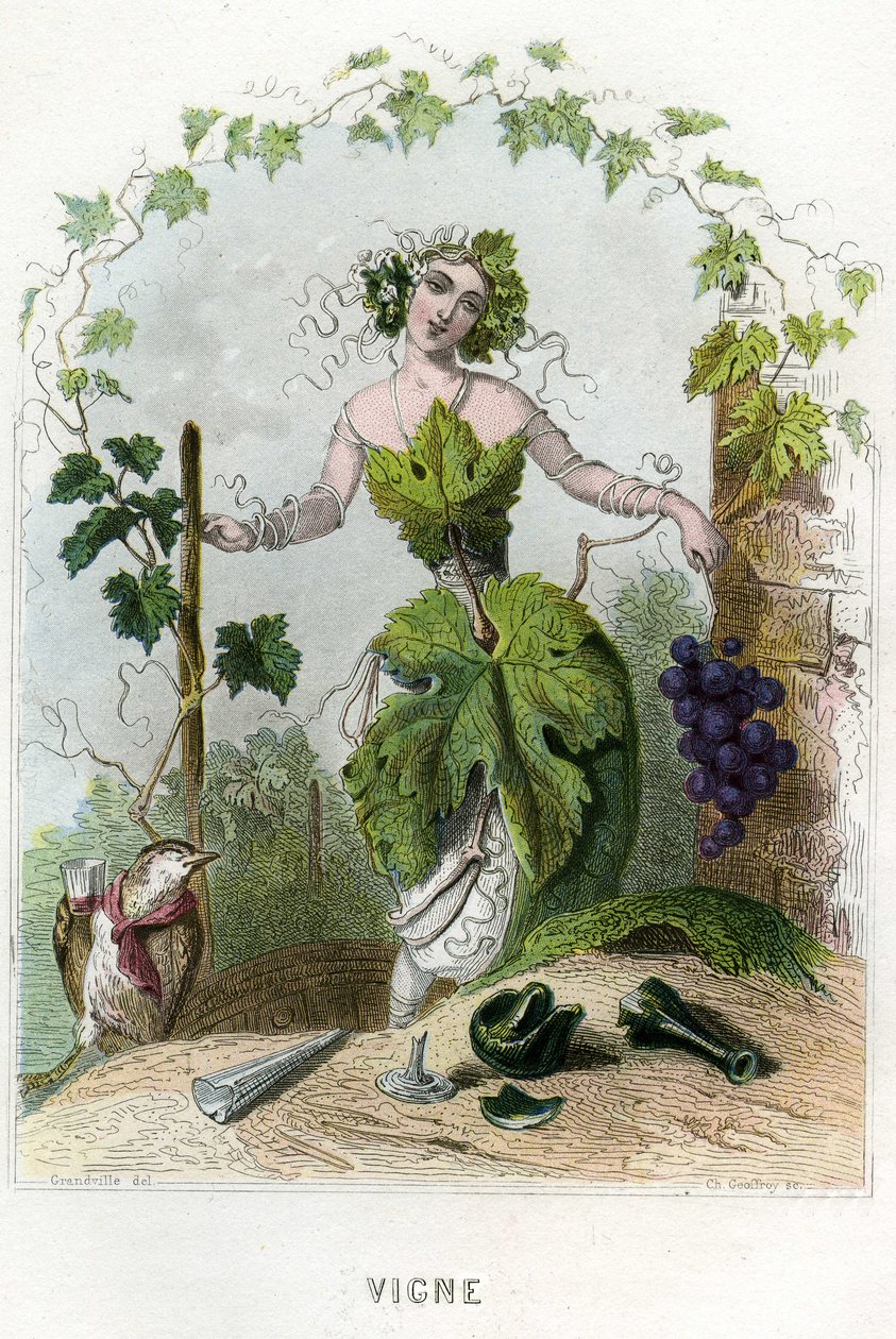Illustration til 