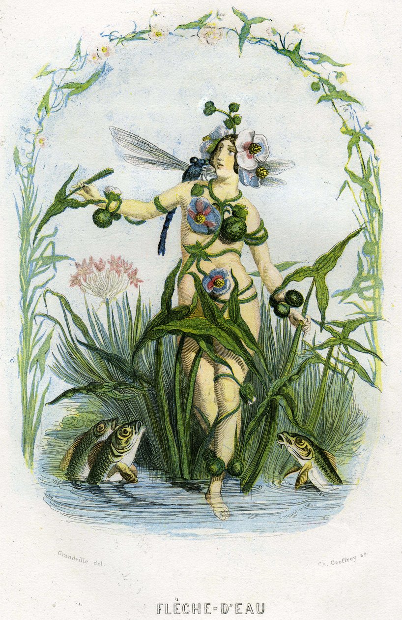 Illustration til 