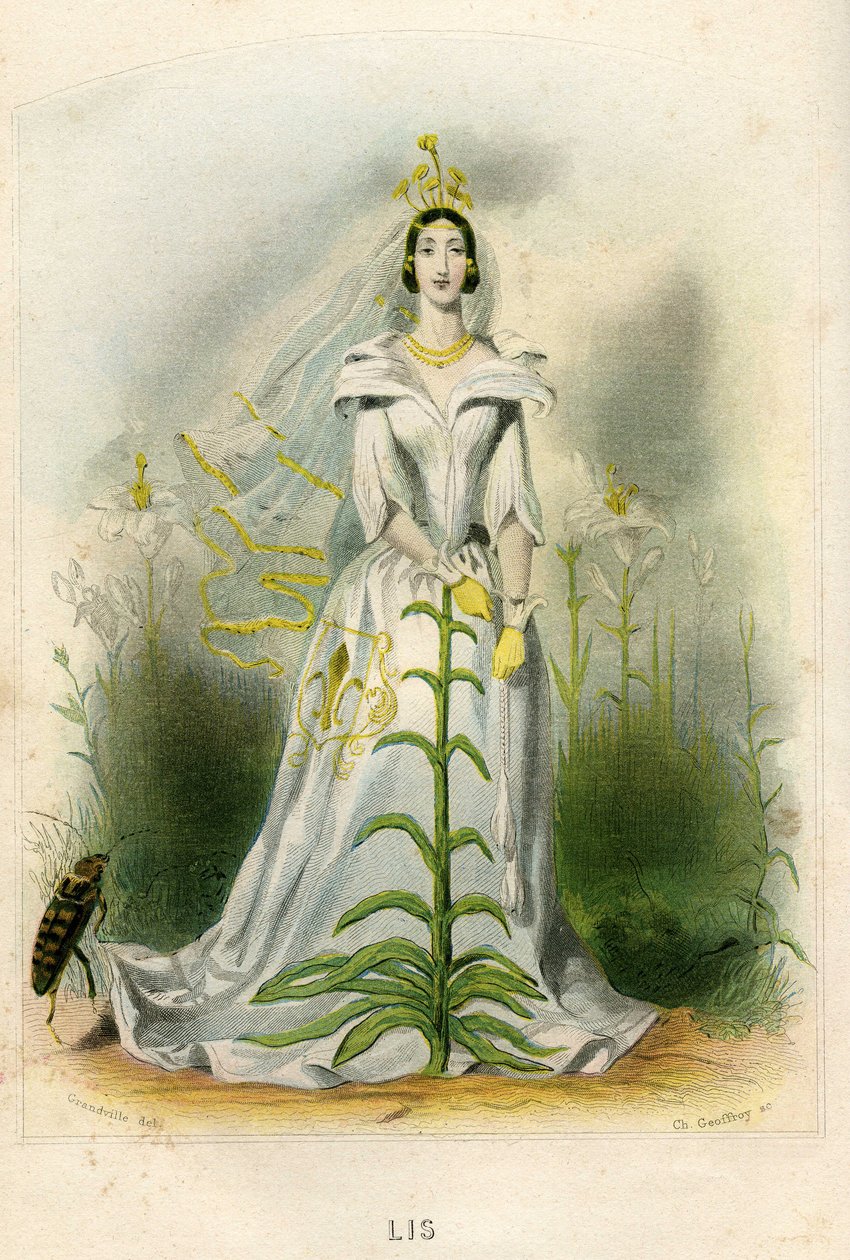 Illustration til 