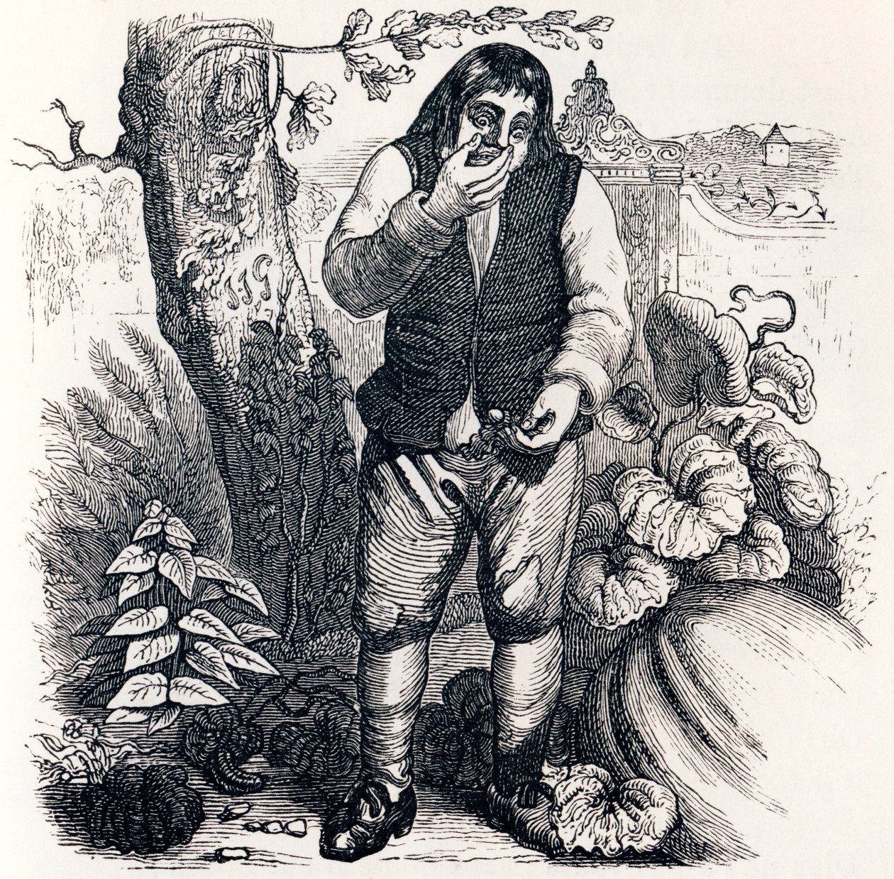 Agernet og græskarret (Le gland et la citrouille) - Fabler af La Fontaine af Grandville