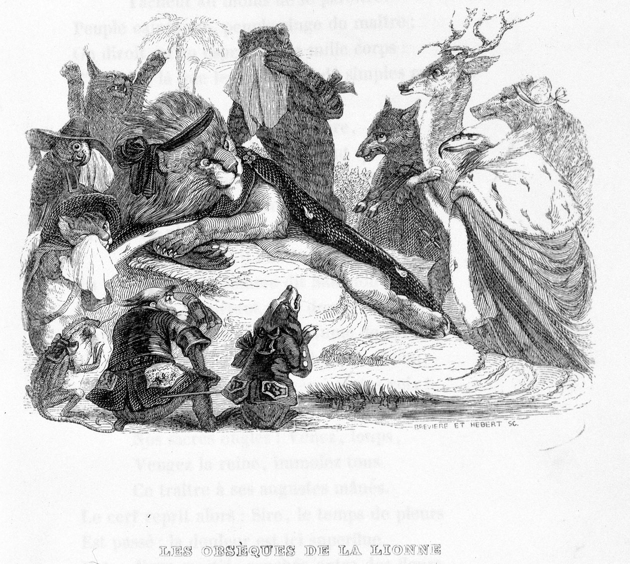 Begravelsen af løvinden - i "" Fables de La Fontaine"" ill. af Grandville af Grandville