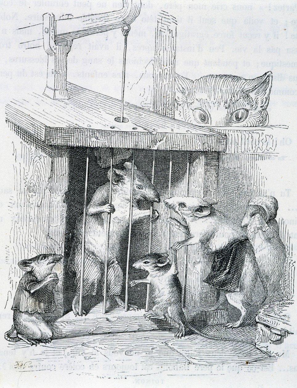 Fanget mus omgivet af sin splittede familie - ved Grandville af Grandville