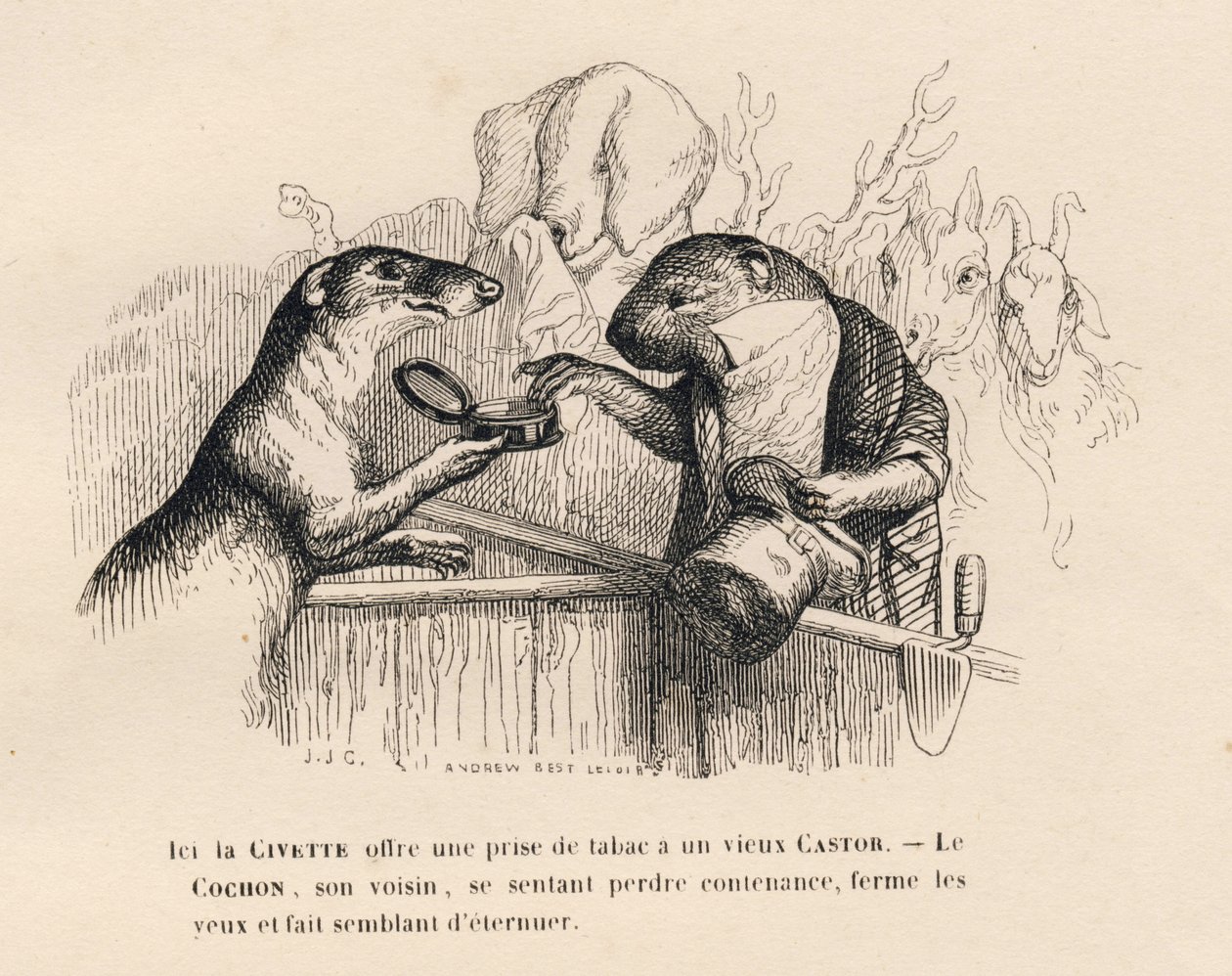 En civet tilbyder en fangst tobak til en gammel bæver, grisen bag ham forsøger at holde sig. Vignetter illustreret af JJ Granville. Gravering signeret Andrew Best og Leloir i prologen med titlen "Parlamentary summary" skrevet af PJ Stahl i "Scener" af Grandville