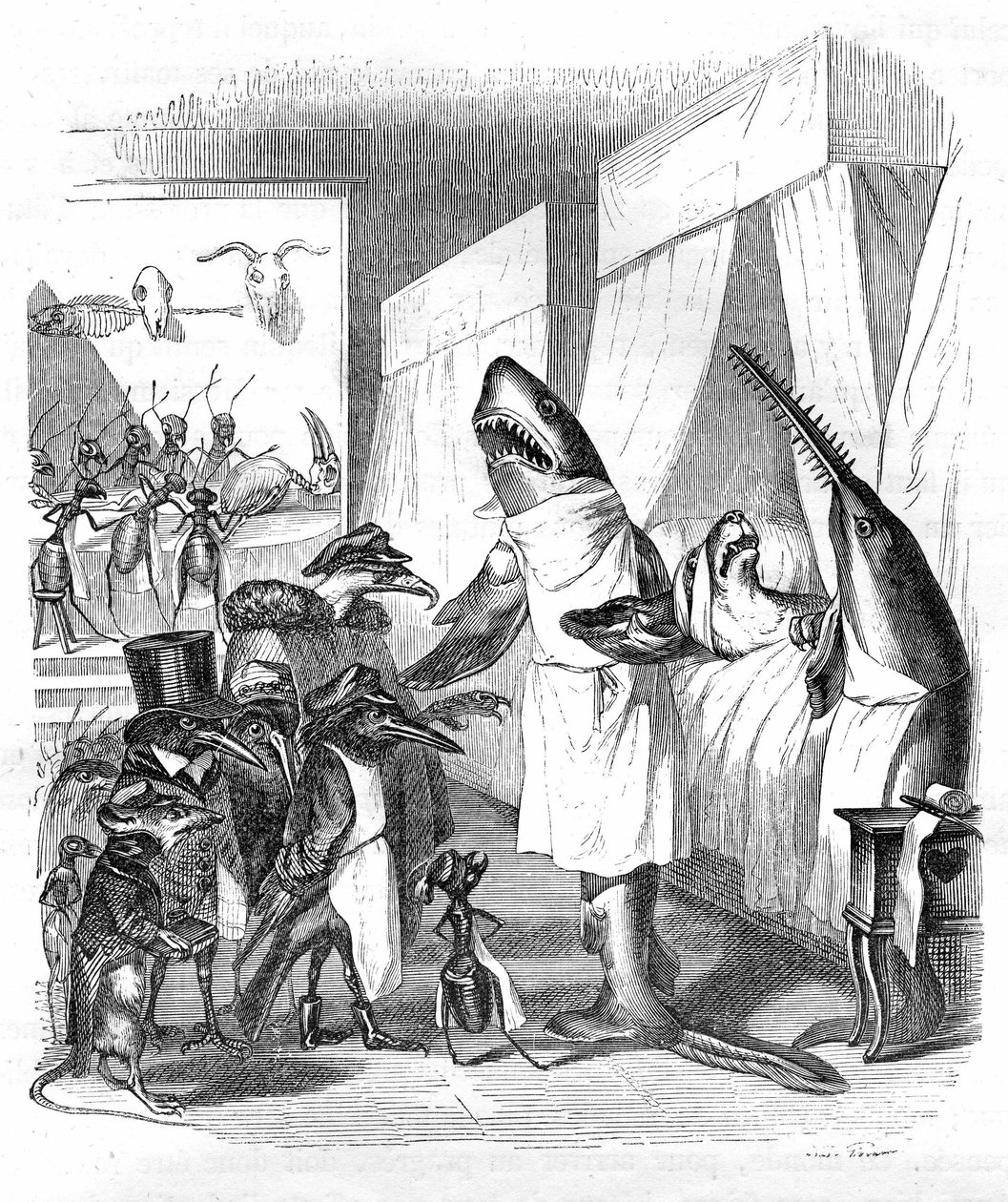 Tegneserie: Fiskene - læger: Grandville-gravering, fra bogen "Dyrenes private og offentlige liv (Les animaux ints par eux memes)", Hetzel-udgaven 1867 s. 551 - En haj og en savfisk (Fish saw) ved siden af en syg person i sengen. af Grandville (1803 47)