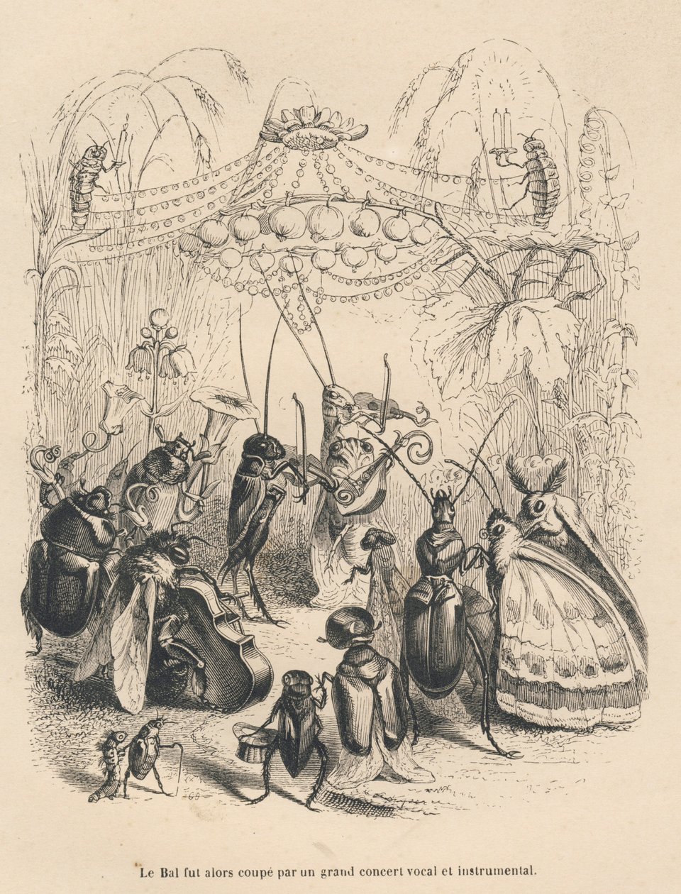 Koncert af insekter ved et bal. Miniaturer illustreret af JJ Granville. Indgravering signeret Godard i delen med titlen "En sommerfugls eventyr" skrevet af PJ Stahl i "Scener fra dyrenes private og offentlige liv". Paris, J. Hetzel og Paulin af Grandville