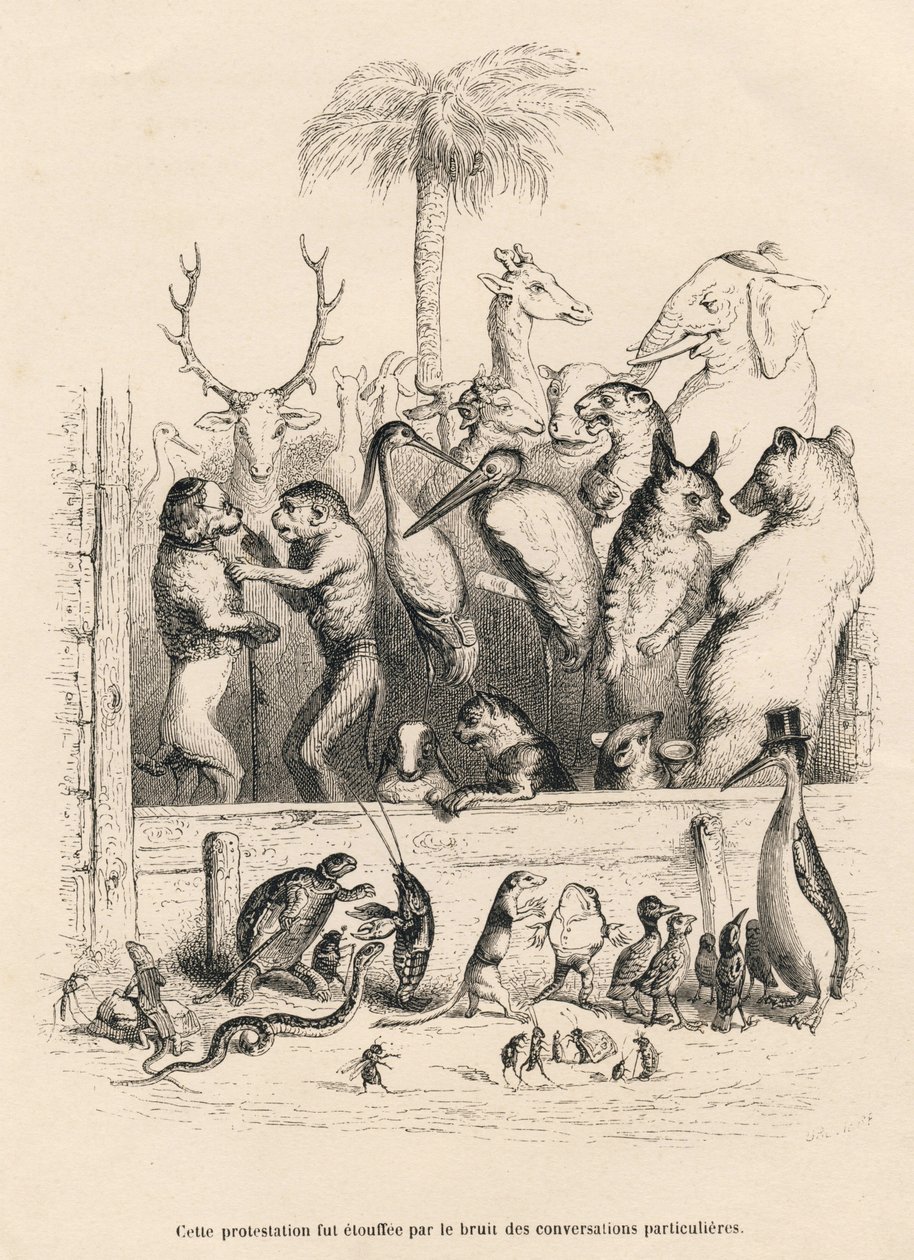 Samtale mellem dyr. Miniaturer illustreret af JJ Granville. Indgravering signeret Breviere i prologen med titlen "Parlamentary Summary" skrevet af PJ Stahl i "Scener fra dyrenes private og offentlige liv". Paris, J. Hetzel og Paulin af Grandville