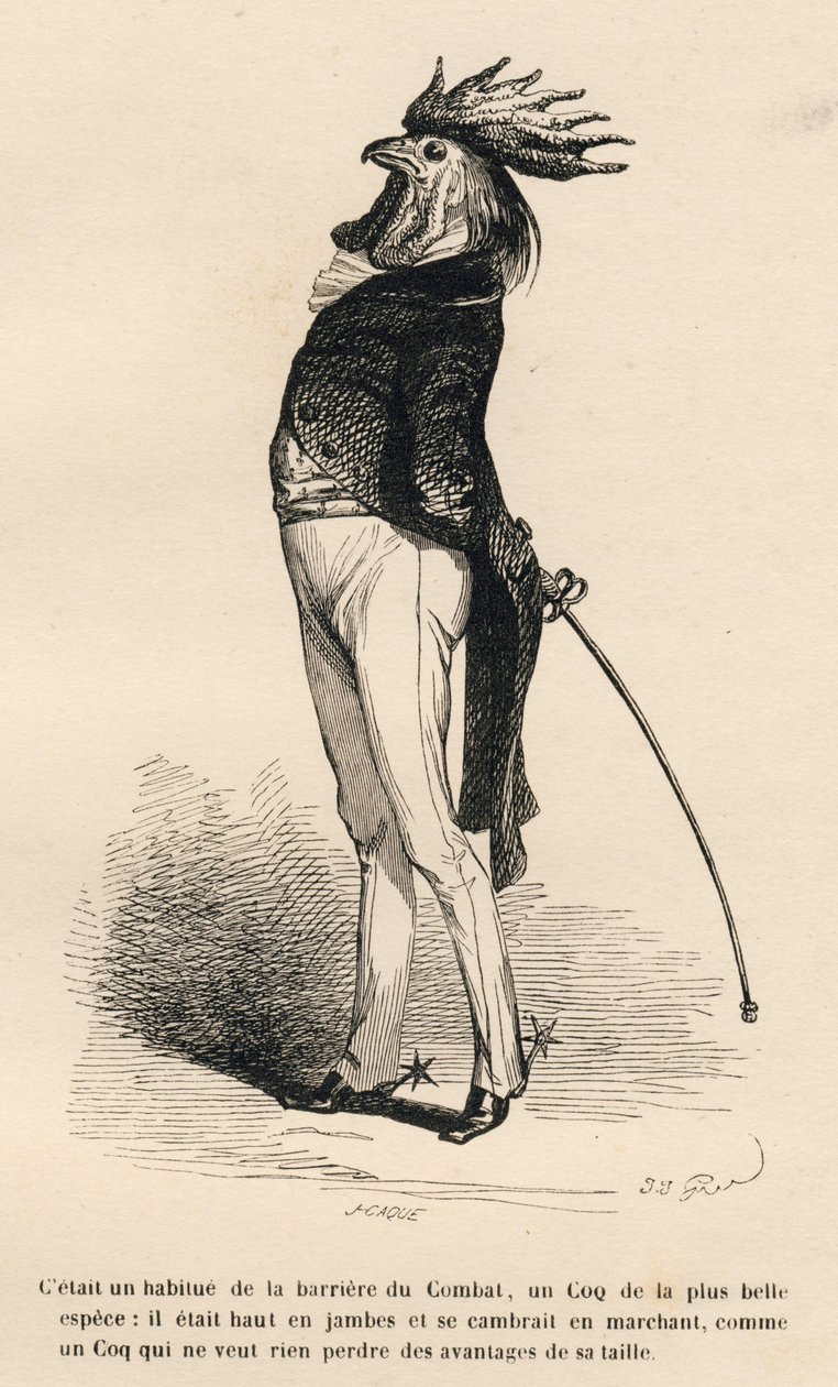 Hane vant til den stolte købmandskampbarriere. Miniaturer illustreret af JJ Granville. Gravering signeret Caque i delen "Historien om en hare" skrevet af PJ Stahl i "Scener fra dyrenes private og offentlige liv". Paris, J. Hetzel og Paulin af Grandville