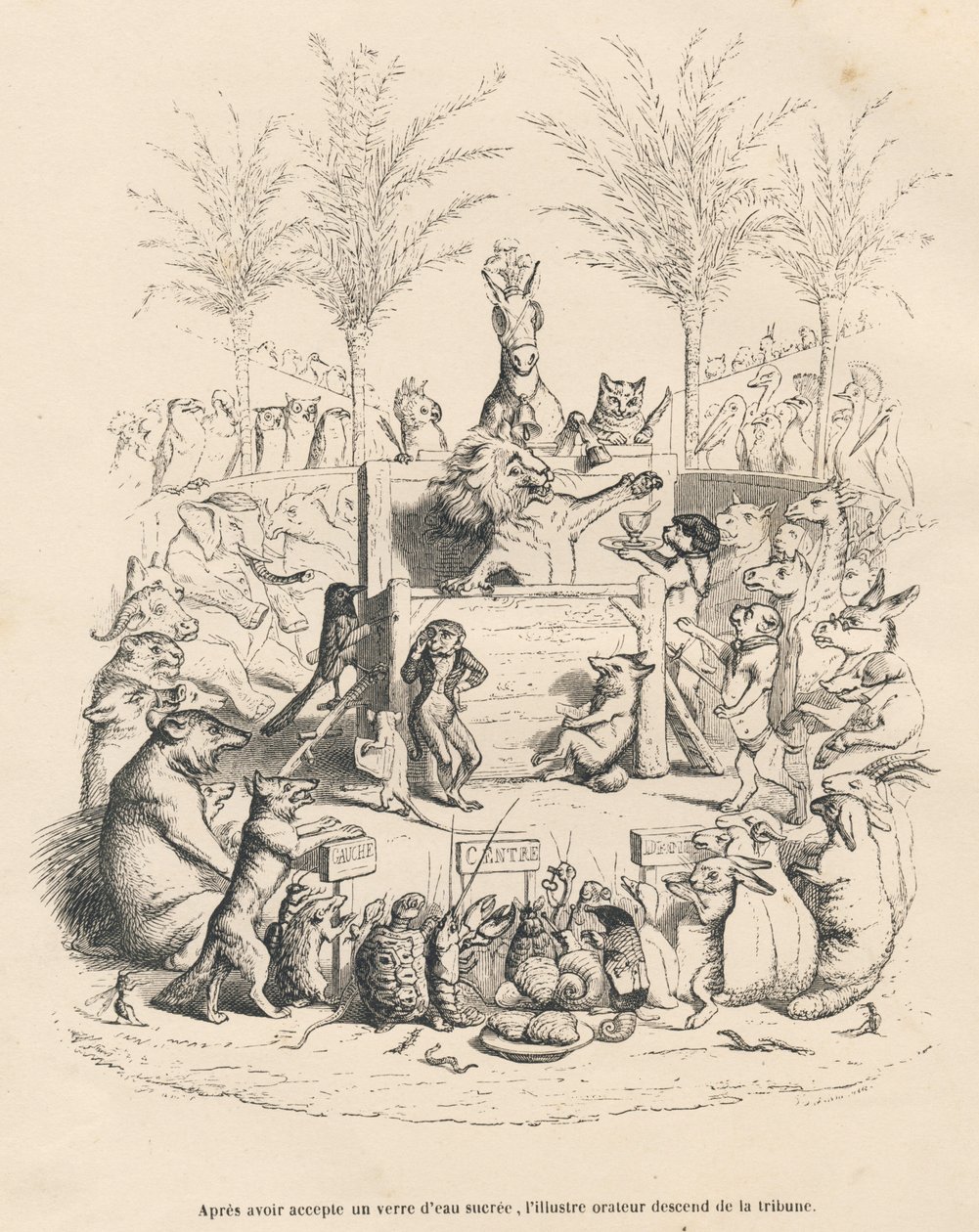 Løvens politiske tale på en tribune omgivet af alle de andre dyr. Miniaturer illustreret af JJ Granville. Gravering signeret Godard i prologen med titlen "Parlamentary Summary" skrevet af PJ Stahl i "Scenes de la vie private et publique des an af Grandville