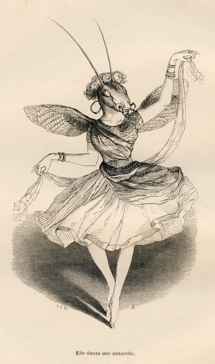 Hun dansede en saltarelle. Miniaturer illustreret af JJ Granville. Gravering signeret Andrew, Best og Leloir i delen med titlen "En sommerfugls eventyr" skrevet af PJ Stahl i "Scener fra dyrenes private og offentlige liv". Paris, J. Hetzel og Pau af Grandville