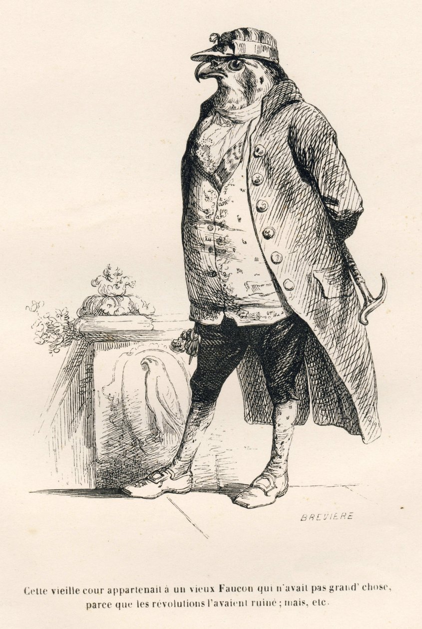 Faucon ødelagt af revolutioner. Miniaturer illustreret af JJ Granville. Gravering signeret Breviere i delen med titlen "Erindringer om en gammel krage" skrevet af PJ Stahl i "Scener fra dyrenes private og offentlige liv". Paris, J. Hetzel og Pauli af Grandville
