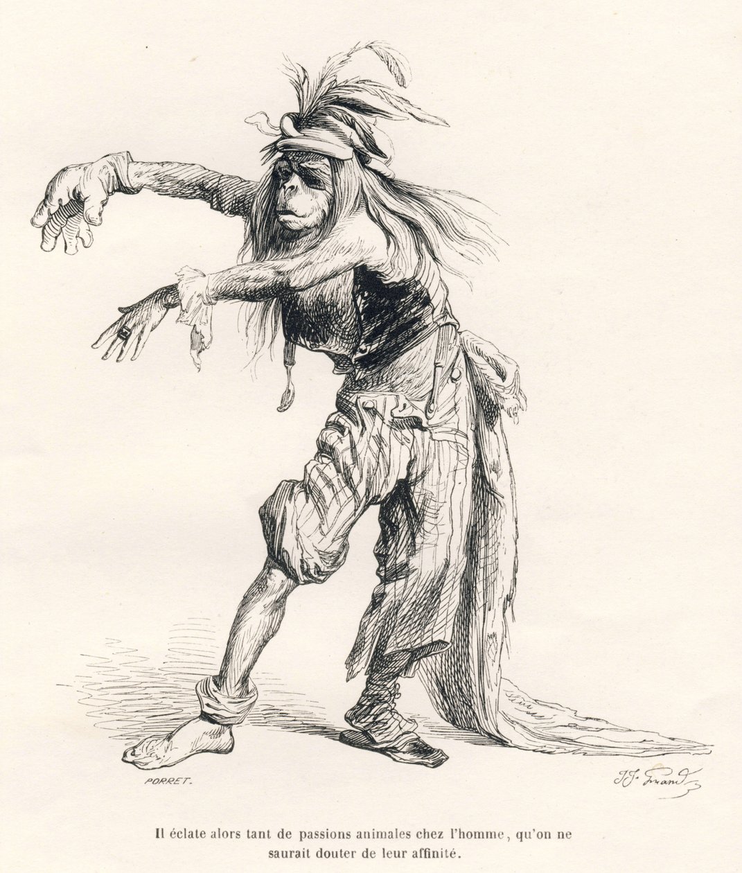Så mange animalske lidenskaber opstod i mennesket, at man ikke ville tvivle på deres tilhørsforhold. Vignetter illustreret af JJ Granville. Gravering signeret Porret i delen med titlen "Voyage of an African Lion in Paris" skrevet af Honore de Balzac i "Sce af Grandville