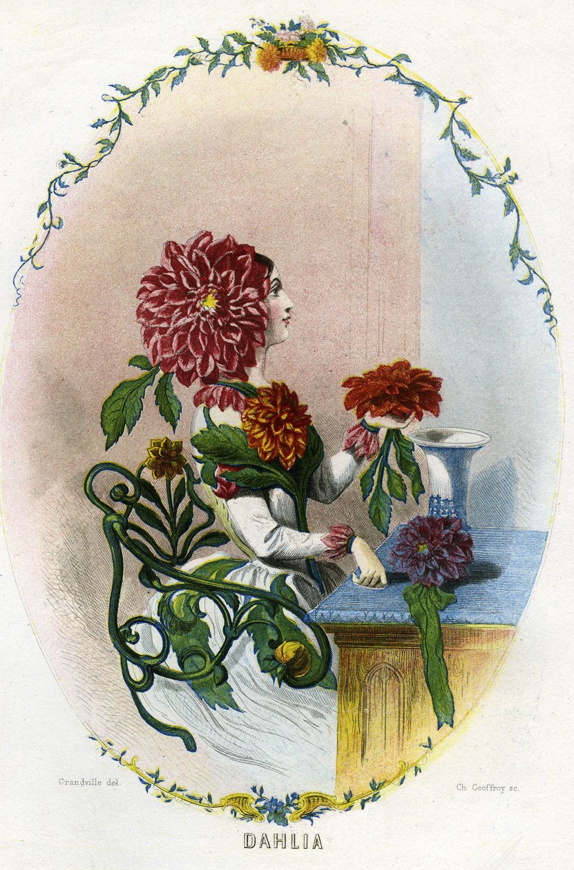 Illustration til 