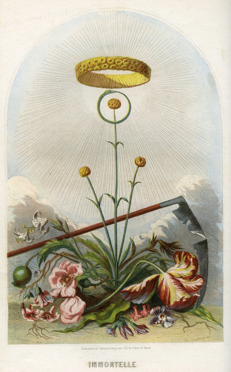 Illustration til 