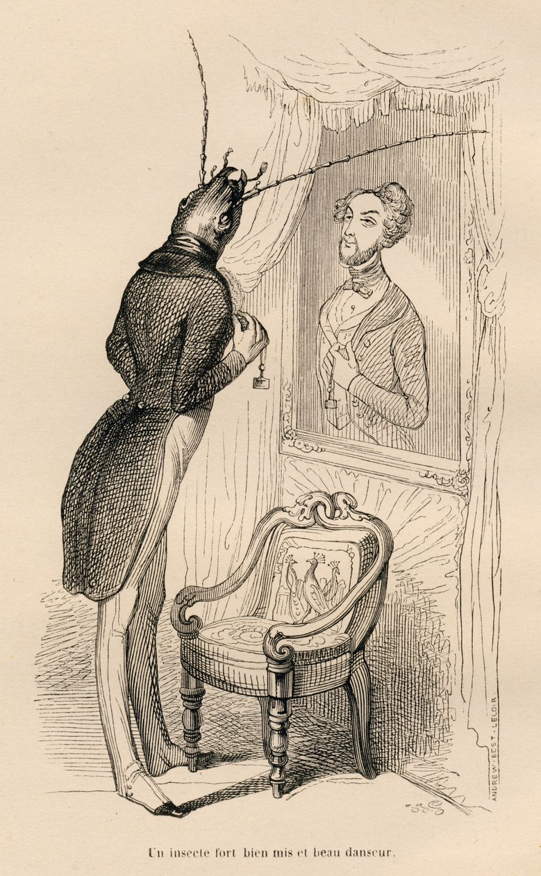 Insekt ser på sit menneskelige spejlbillede i spejlet). Vignetter illustreret af JJ Granville. Gravering signeret Andrew, Best og Leloir i delen med titlen "The Adventures of a Butterfly" skrevet af PJ Stahl i "Scener fra dyrenes private og offentlige liv" af Grandville