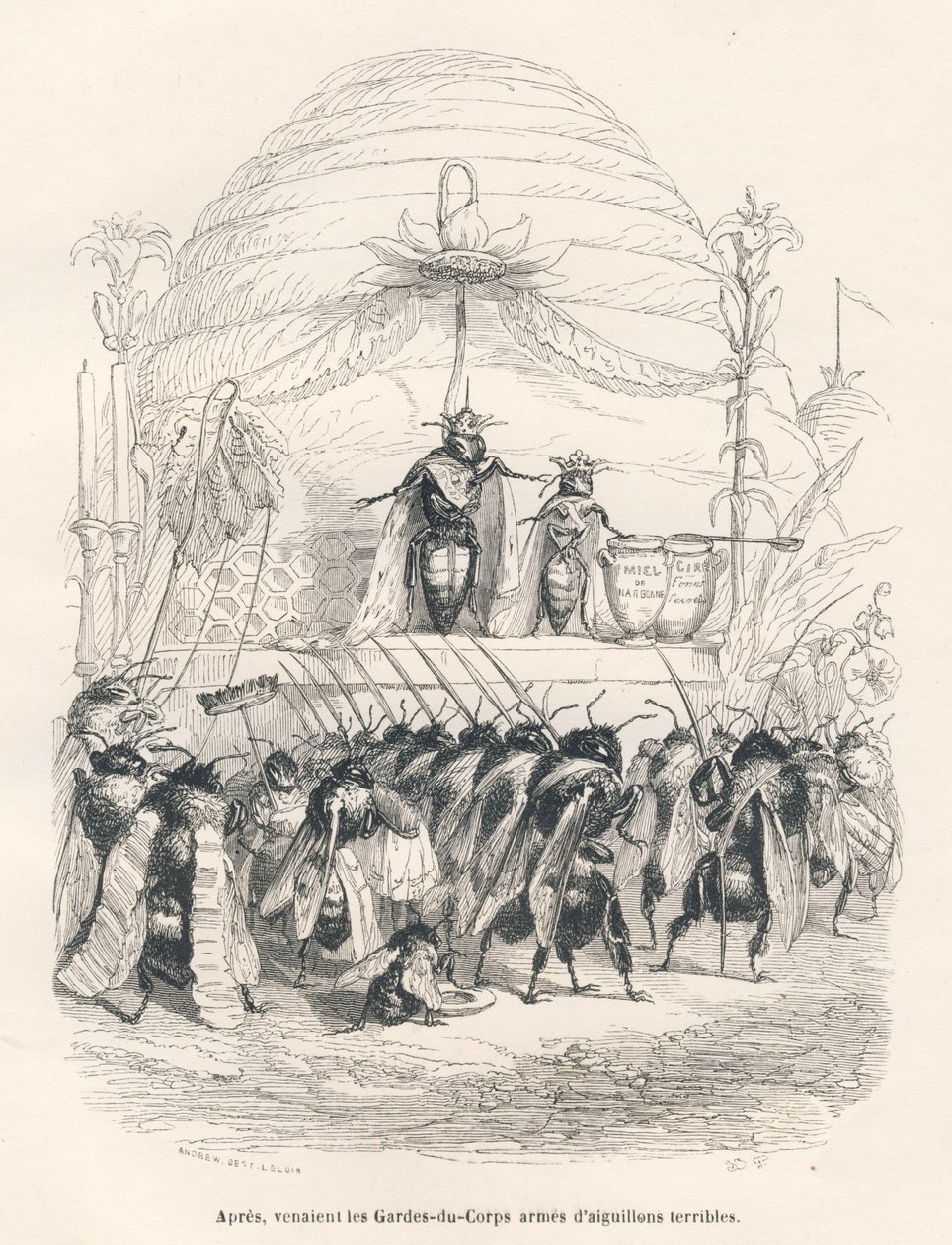 Bidronningen og hendes hær. Miniaturer illustreret af JJ Granville. Gravering signeret Andrew, Best og Leloir i delen med titlen "En spurvs rejse fra Paris" skrevet af George Sand i "Scener fra dyrenes private og offentlige liv". Paris, J. af Grandville