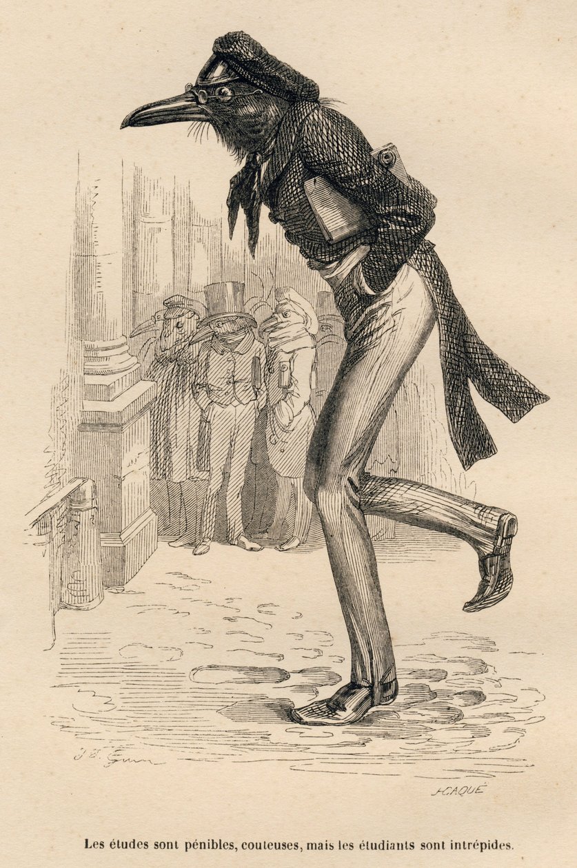 Studierne er svære, dyre, men de studerende er uforfærdede. Miniaturer illustreret af JJ Granville. Gravering signeret Caque i delen med titlen "Dyrelægerne" skrevet af Pierre Bernard i "Scener fra dyrenes private og offentlige liv af Grandville
