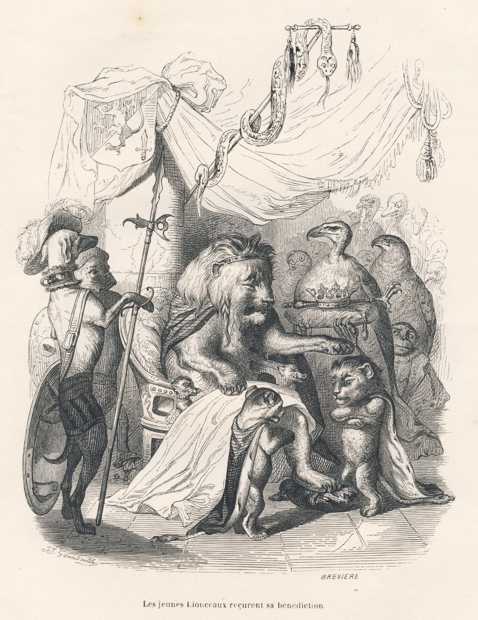 Unge løveunger modtager løvekongens velsignelse. Vignetter illustreret af JJ Granville. Gravering signeret Breviere i delen med titlen "Voyage of an African Lion in Paris" skrevet af Honore de Balzac i "Scenes de la vie privee et publique des af Grandville
