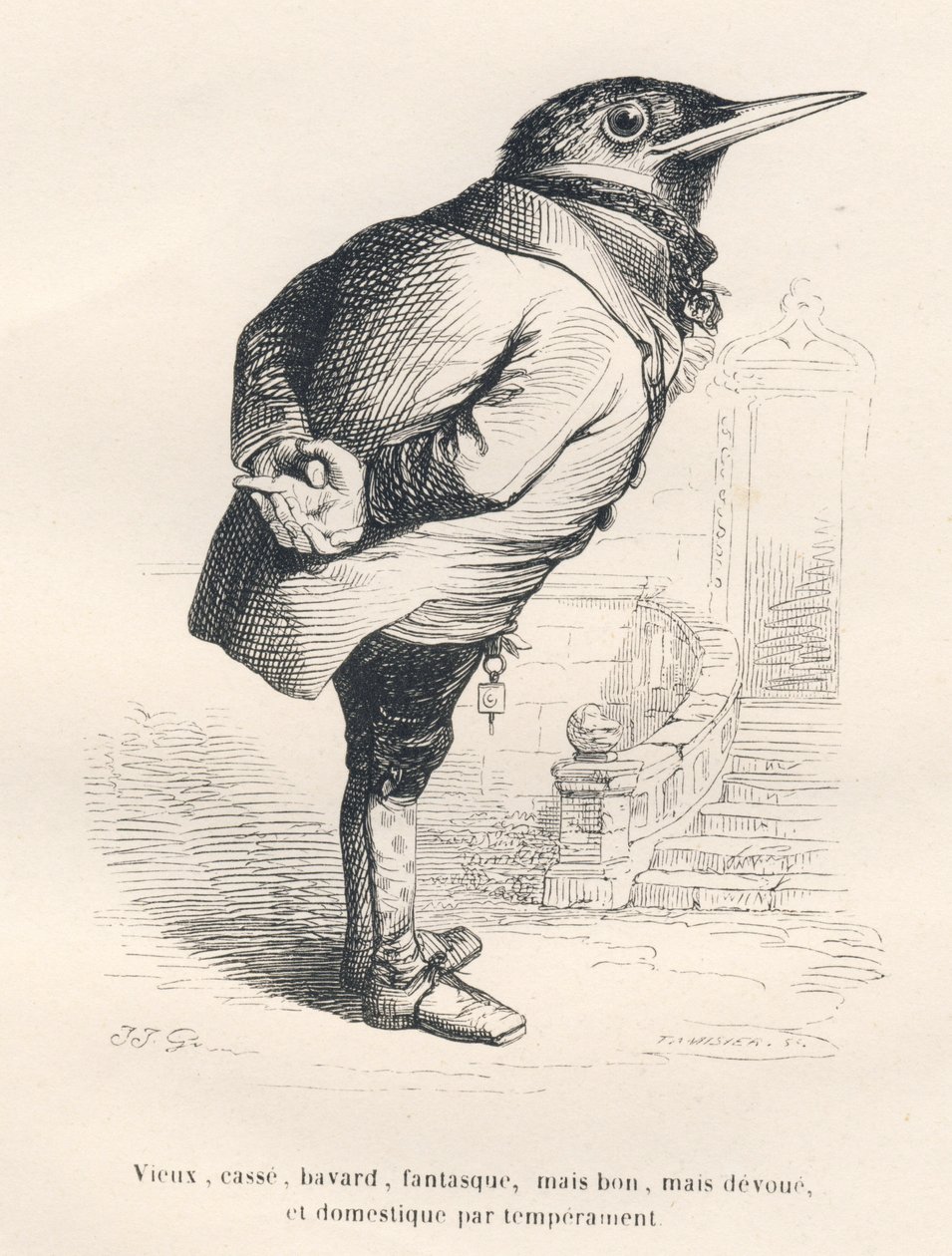 Merle "gammel, knust, snakkesalig, finurlig, men god, men hengiven og hjemlig af temperament". Vignetter illustreret af JJ Granville. Gravering signeret Tamisier i afsnittet med titlen "Erindringer om en gammel krage" skrevet af PJ Stahl i "Scener fra live af Grandville