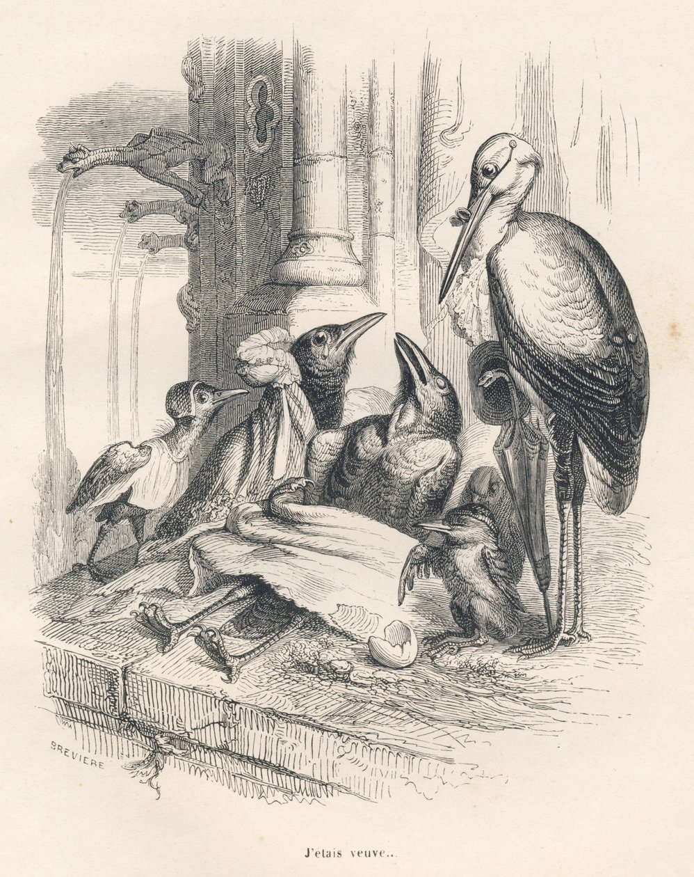 En kragedød sammen med sin familie og en stork. Miniaturer illustreret af JJ Granville. Gravering signeret Breviere i delen med titlen "Erindringer om en gammel krage" skrevet af PJ Stahl i "Scener fra dyrenes private og offentlige liv". P af Grandville