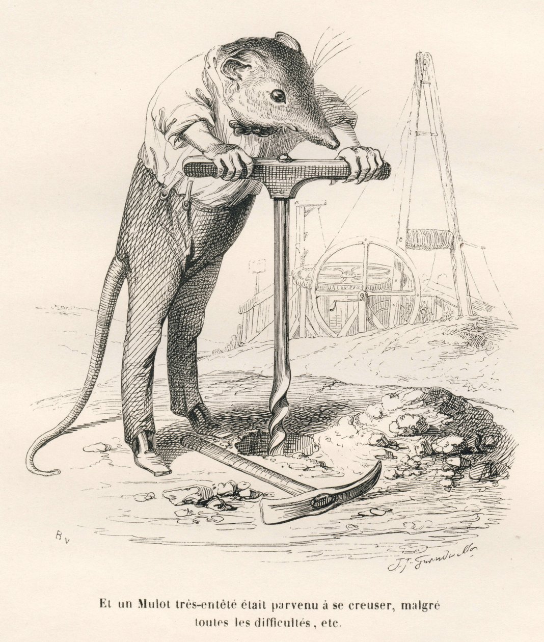 Markmus gennemborer jorden. Vignetter illustreret af JJ Granville. Gravering signeret Breviere i delen med titlen "Erindringer om en gammel krage" skrevet af PJ Stahl i "Scener fra dyrenes private og offentlige liv". Paris, J. Hetzel og Paulin af Grandville