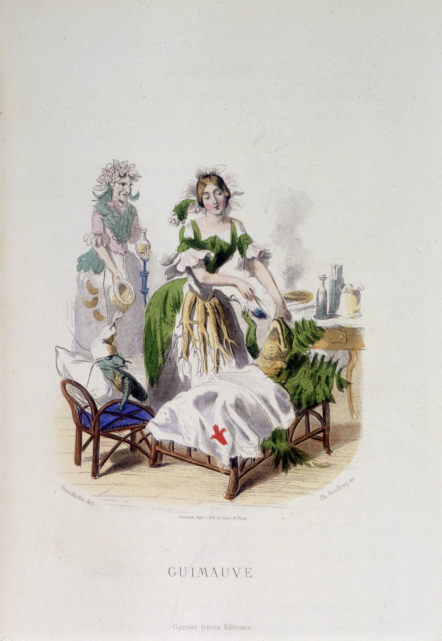 Personificering af lægeplanten Marshmallow behandler en frø - i "" Animerede blomster"" af Grandville af Grandville