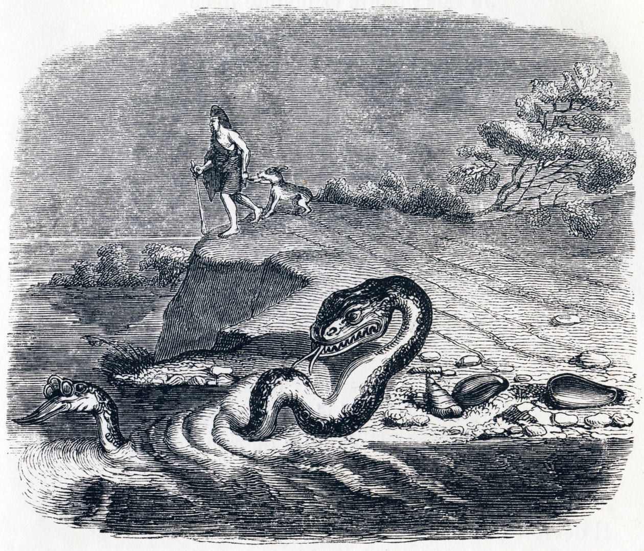Slangens forkant og hale (La tete et la queue du serpent) - Fabler af La Fontaine af Grandville