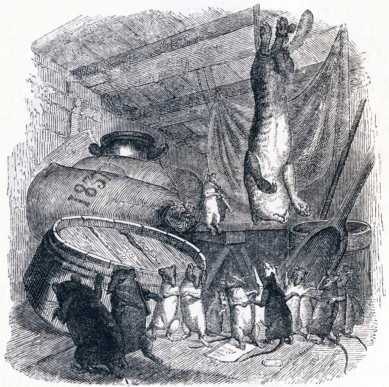 Katten og den gamle rotte (Le chat et un vieux rat) - Fabler af La Fontaine af Grandville