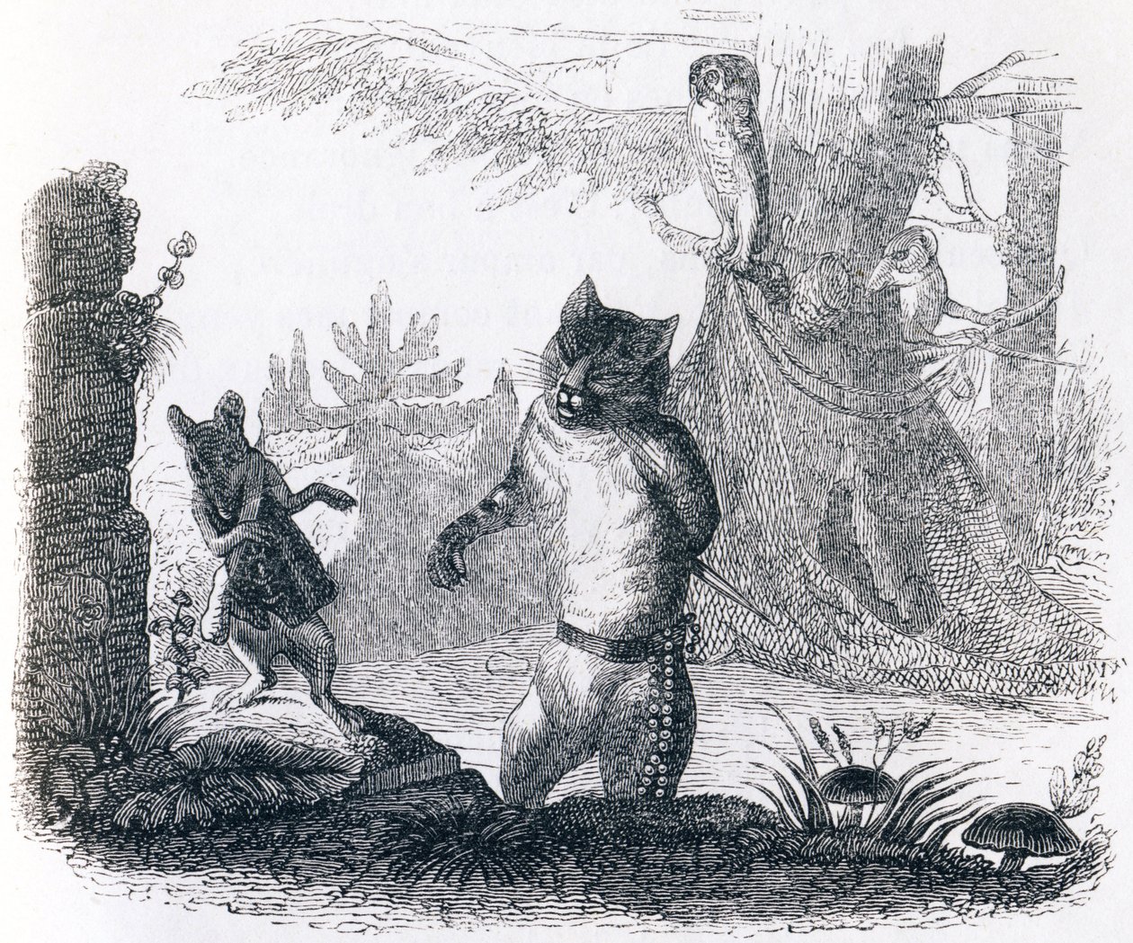 Katten og rotten - Fabler af La Fontaine af Grandville