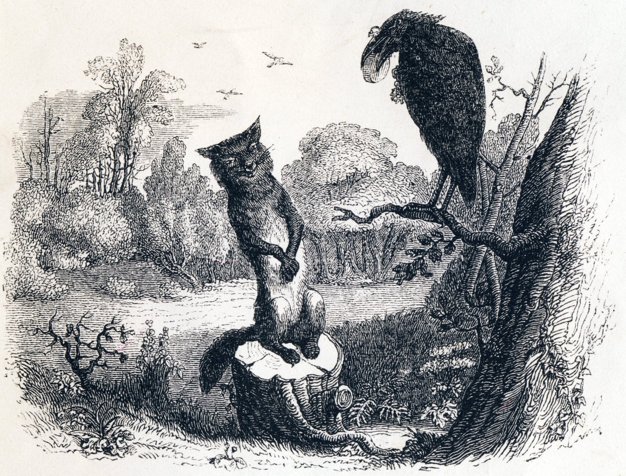 Kragen og ræven) Kragen og ræven - Fabler af La Fontaine af Grandville