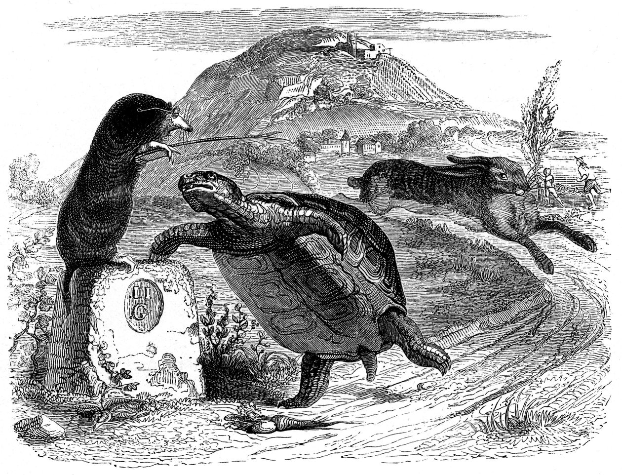 Haren og skildpadden: La Fontaine-fabel illustreret af Grandville. af Grandville (1803 47)