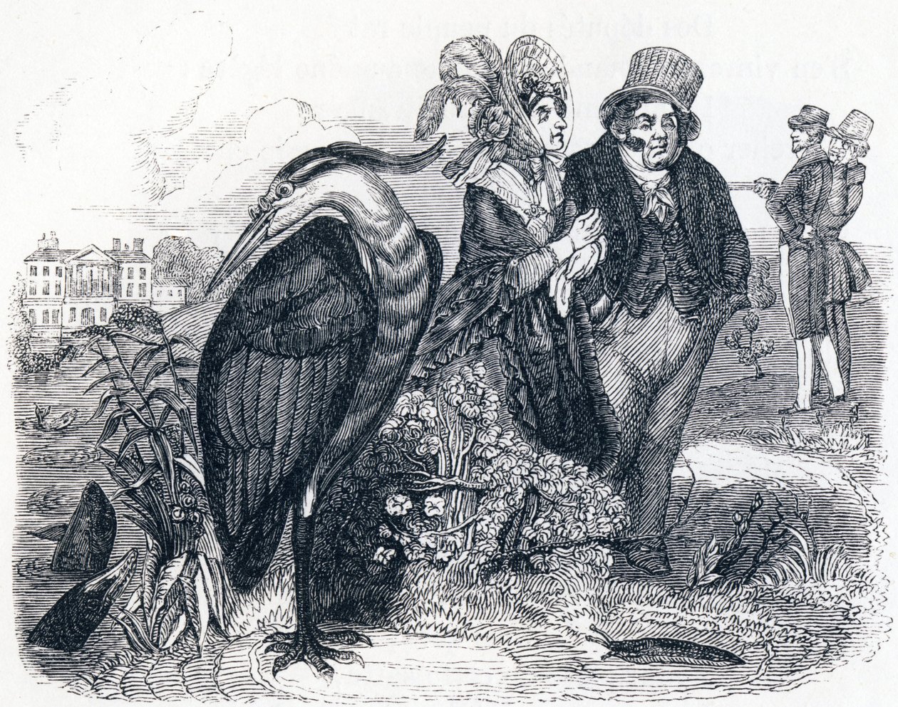 Hejren (le Heron) - Fabler af La Fontaine af Grandville