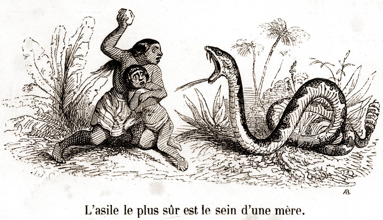 Det sikreste asyl er en mors bryst af Grandville (1803 47)