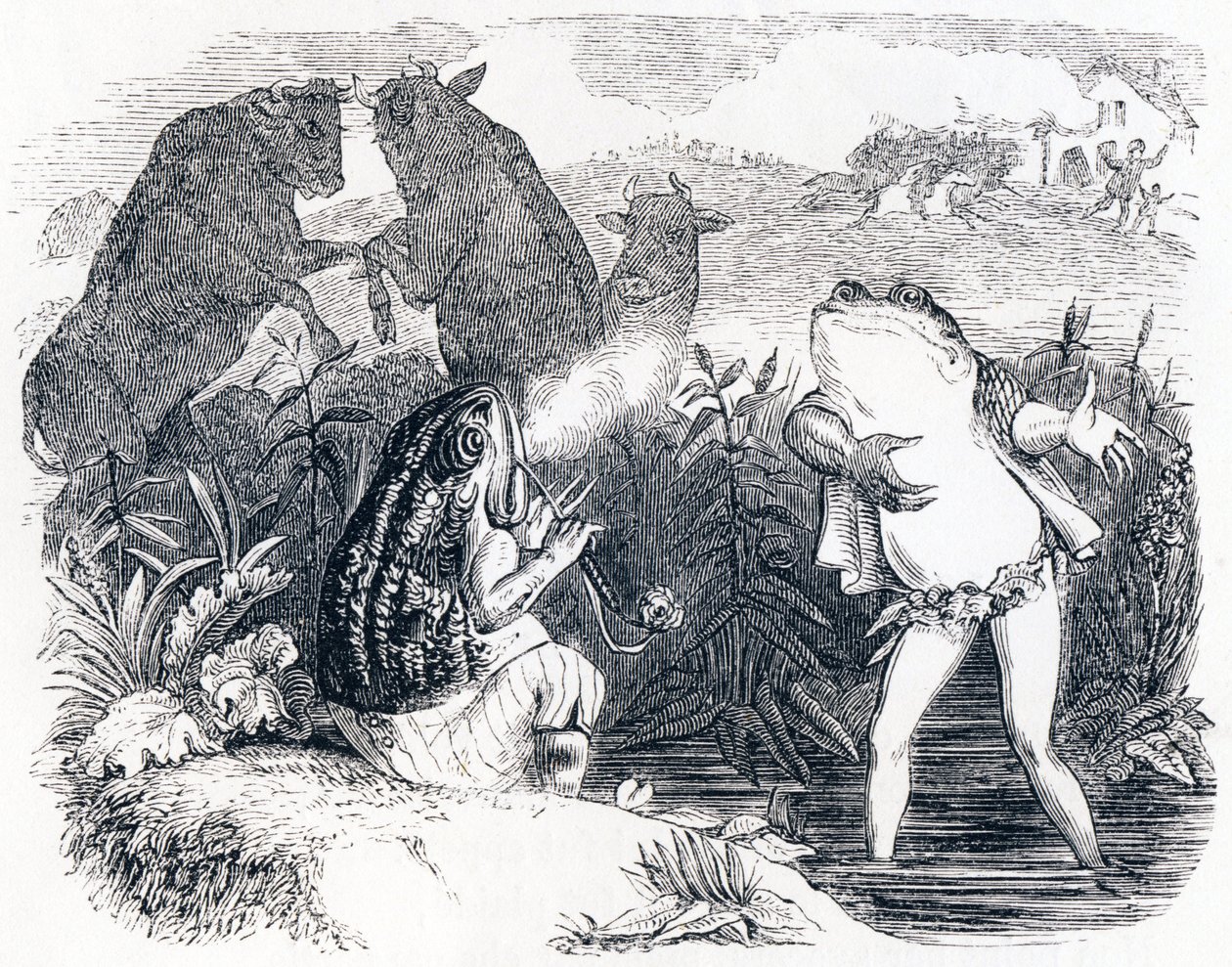De to tyre og en frø - Fabler af La Fontaine af Grandville