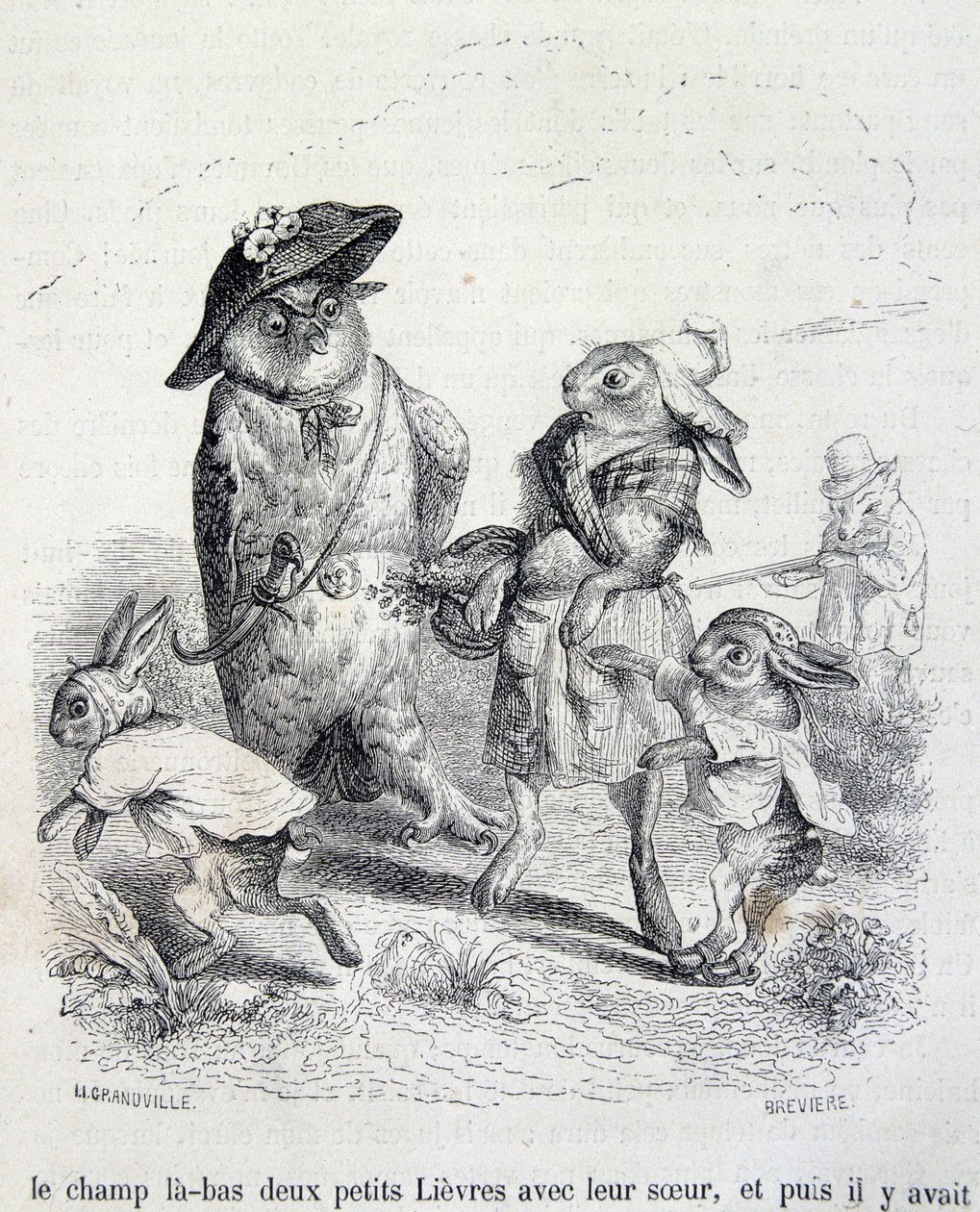 De to små harer, deres søster og uglen - ved Grandville af Grandville