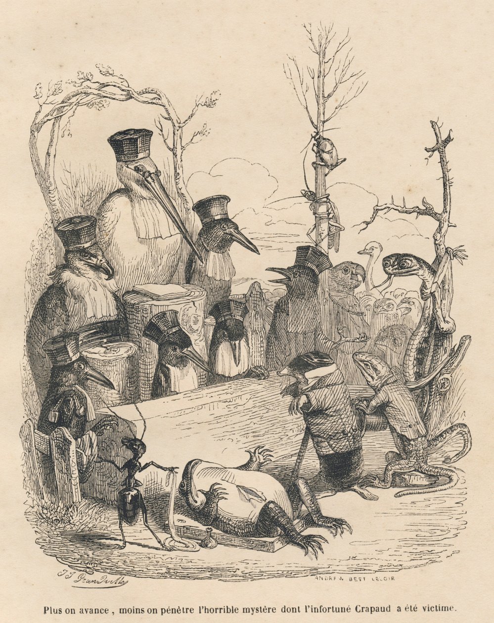 Retten består af storke og andre fugle, en muldvarp og et firben for at afsløre den skyldige i mordet på tudsen. Illustrerede vignetter af JJ Granville. Gravering signeret Andrew, Best og Leloir i den del med titlen "Cour criminelle de just". af Grandville
