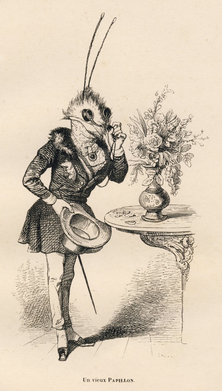 En gammel sommerfugl ser på tiden med sine briller. Miniaturer illustreret af JJ Granville. Gravering signeret Breviere i delen med titlen "En sommerfugls eventyr" skrevet af PJ Stahl i "Scener fra dyrenes private og offentlige liv". Paris, J. af Grandville