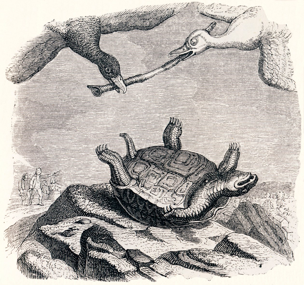 skildpadden og de to ænder - Fabler af La Fontaine af Grandville
