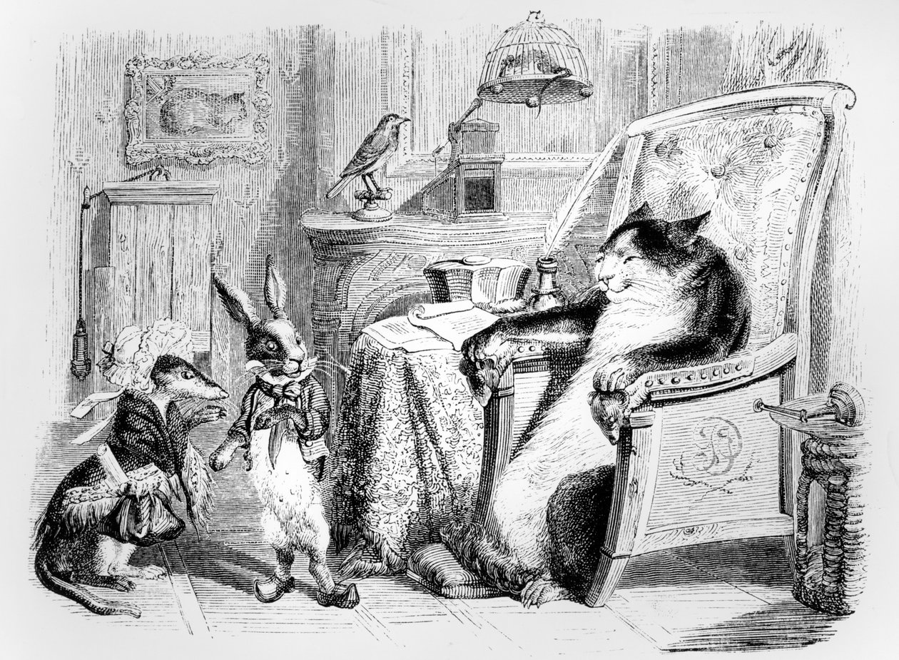 Katten, væselen og den lille kanin, illustration til 