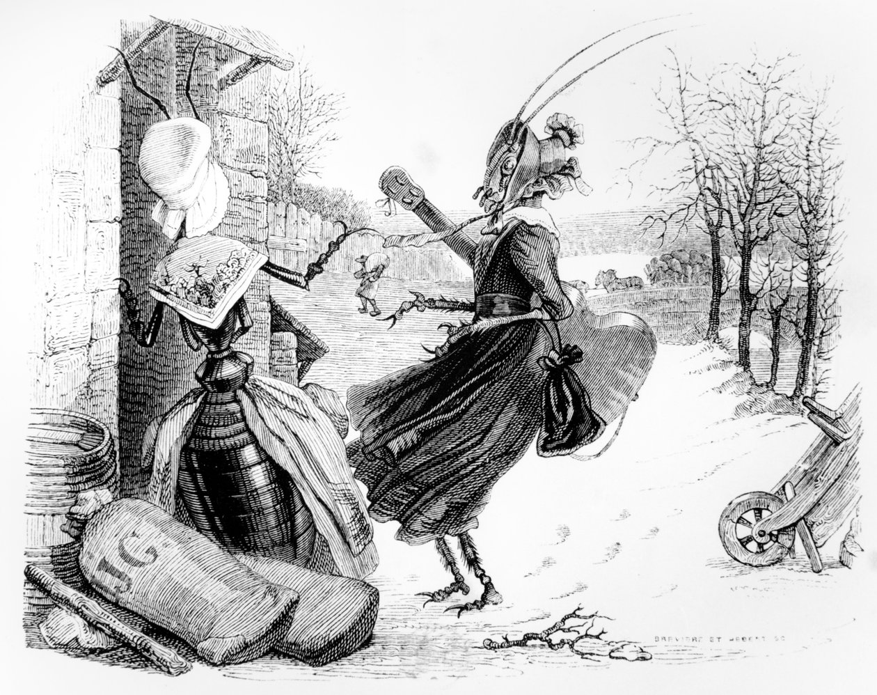 Cikaden og myren, illustration til 