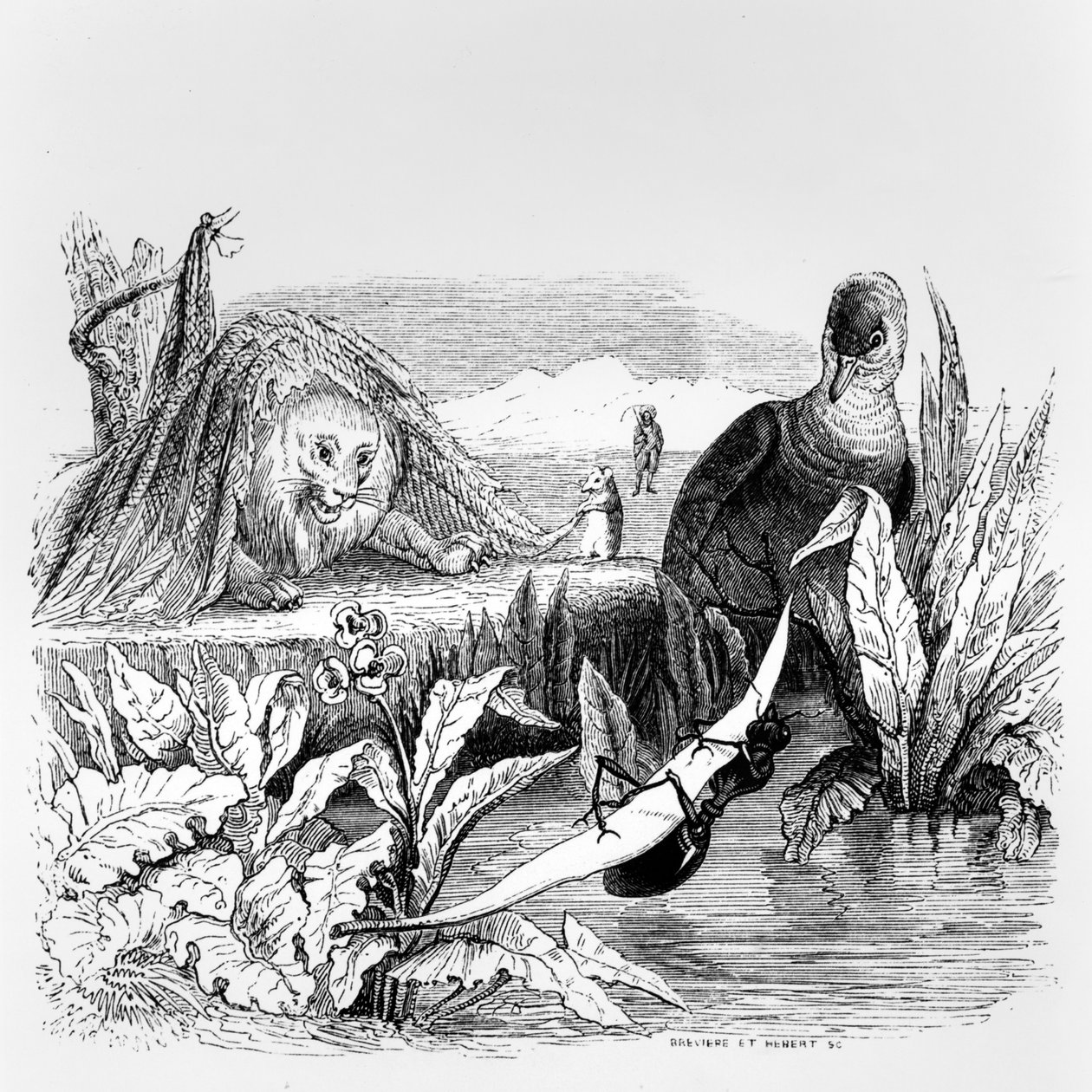 Duen og myren og løven og rotten, illustration til 